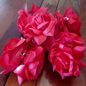 Pince double roses